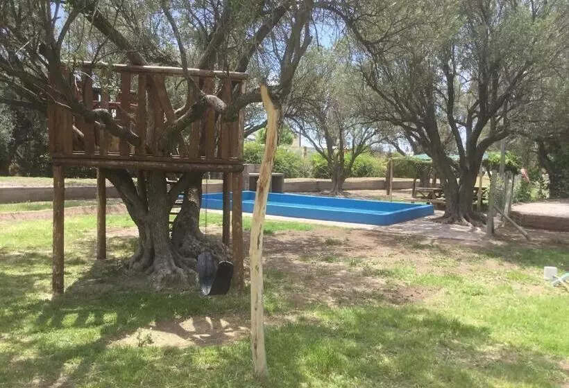 Tree House Hostel