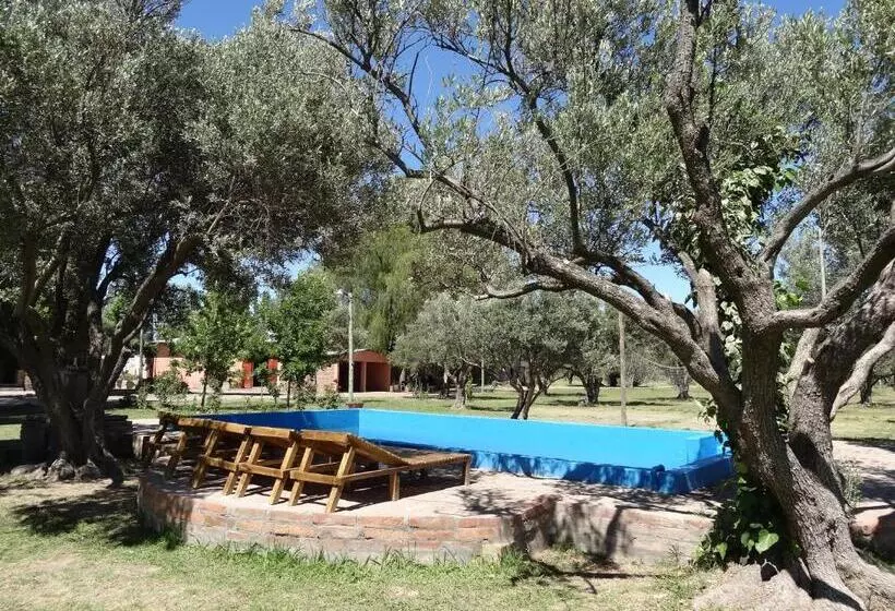 Tree House Hostel