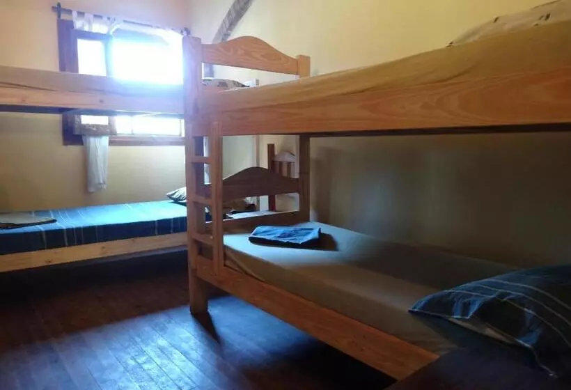 Tree House Hostel