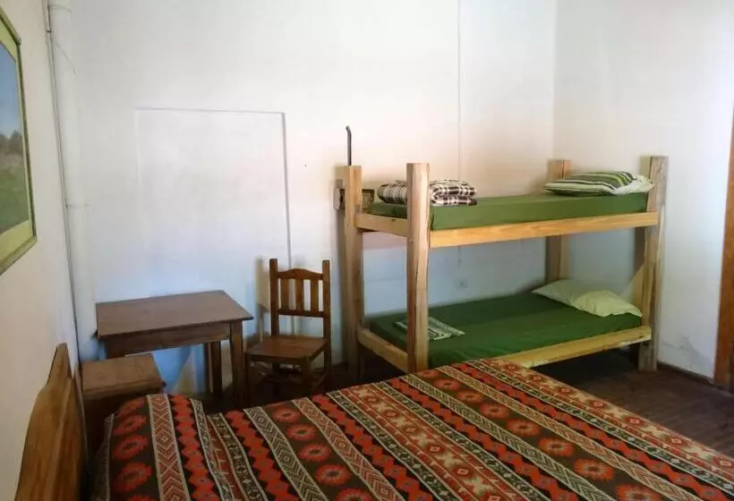 Tree House Hostel
