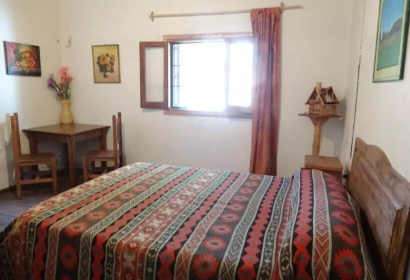 Tree House Hostel