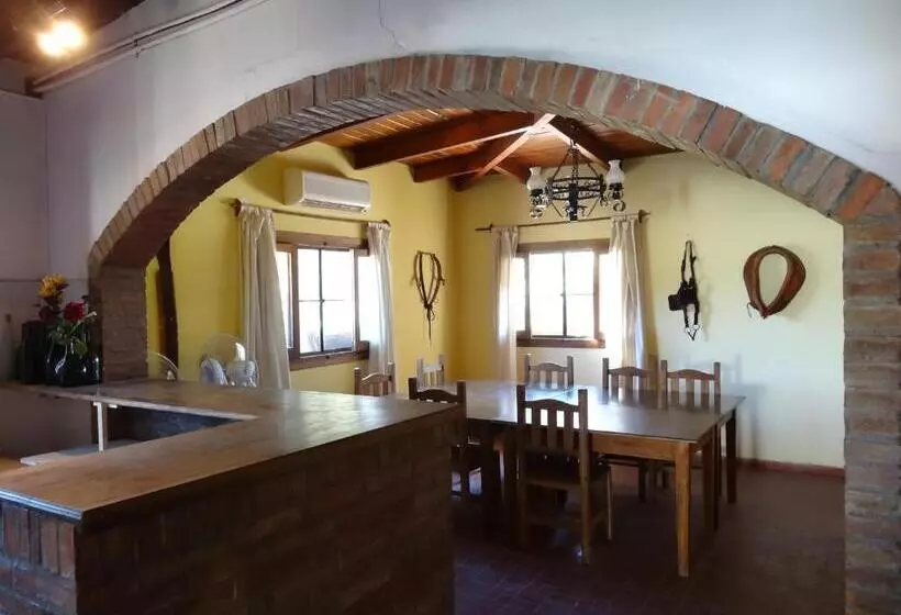 Tree House Hostel