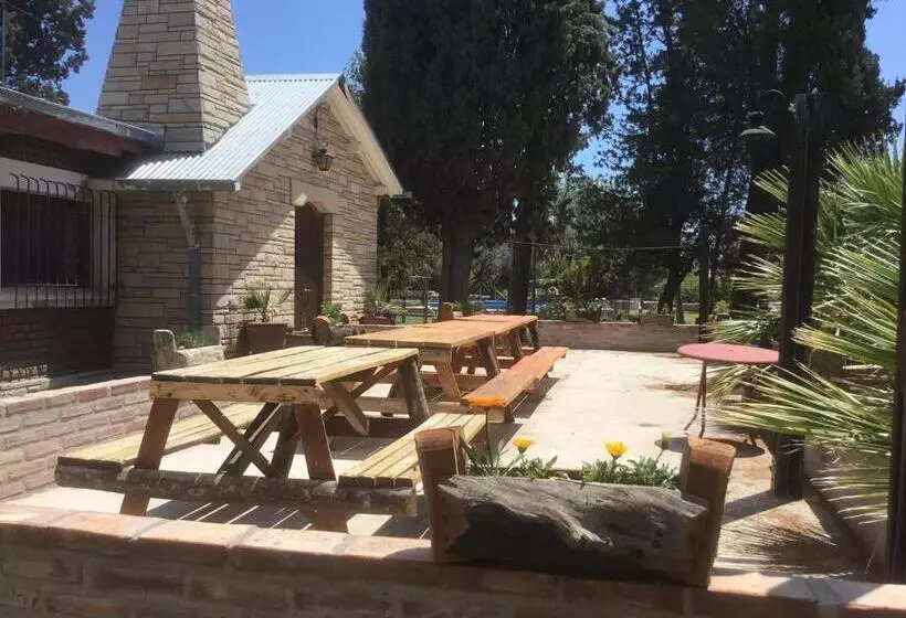 Tree House Hostel