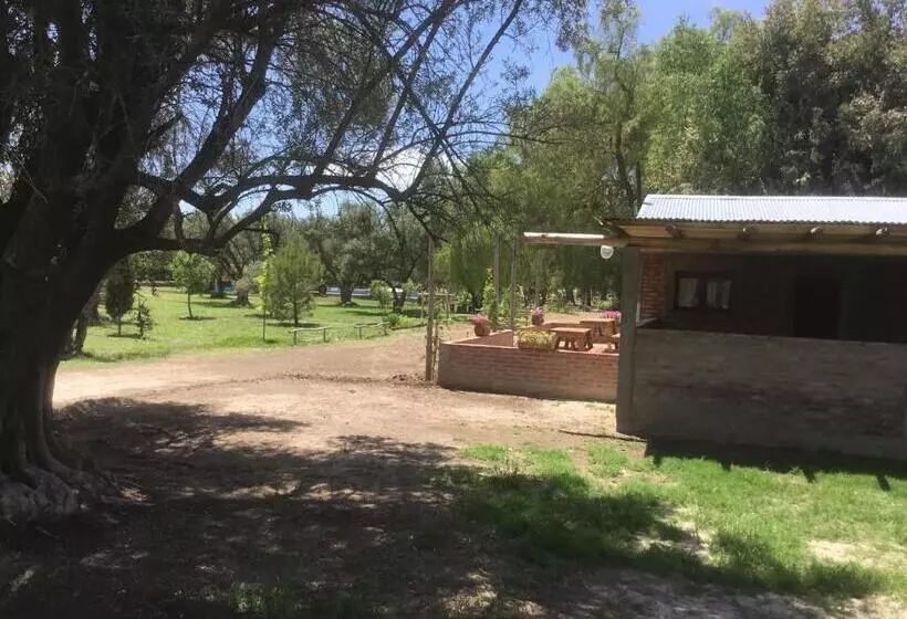 Tree House Hostel