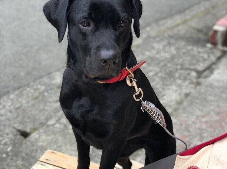 Albergue Hakone Guesthouse Toi