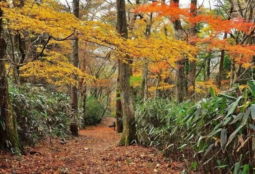 هاستل Hakone Guesthouse Toi