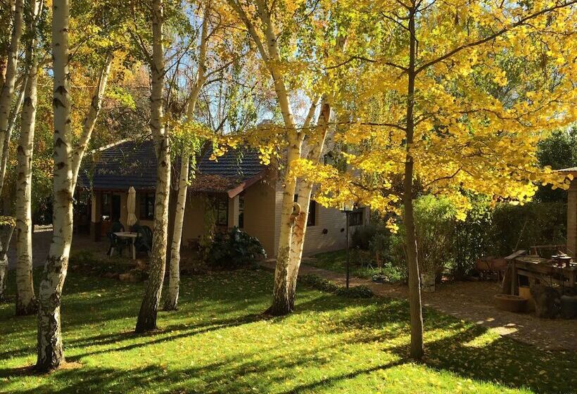 Bed & Breakfast El Colibrí Cabañas De La Naturaleza