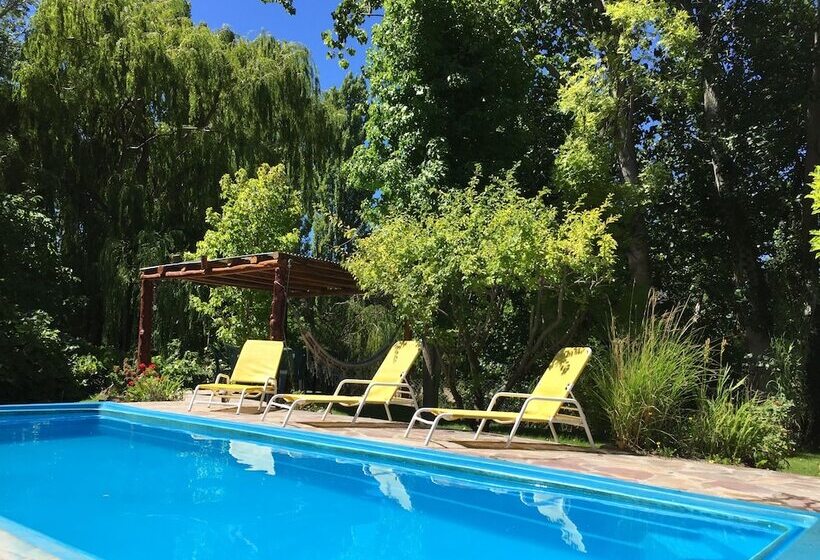 Bed & Breakfast El Colibrí Cabañas De La Naturaleza