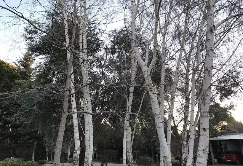 تختخواب و صبحانه El Colibrí Cabañas De La Naturaleza