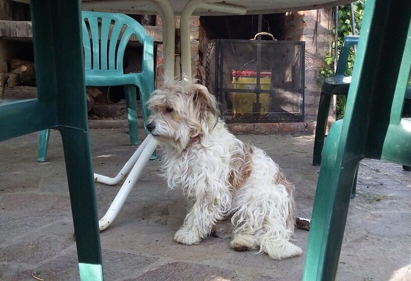 Bed & Breakfast El Colibrí Cabañas De La Naturaleza