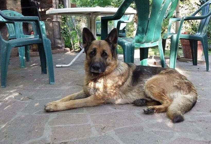 Bed & Breakfast El Colibrí Cabañas De La Naturaleza