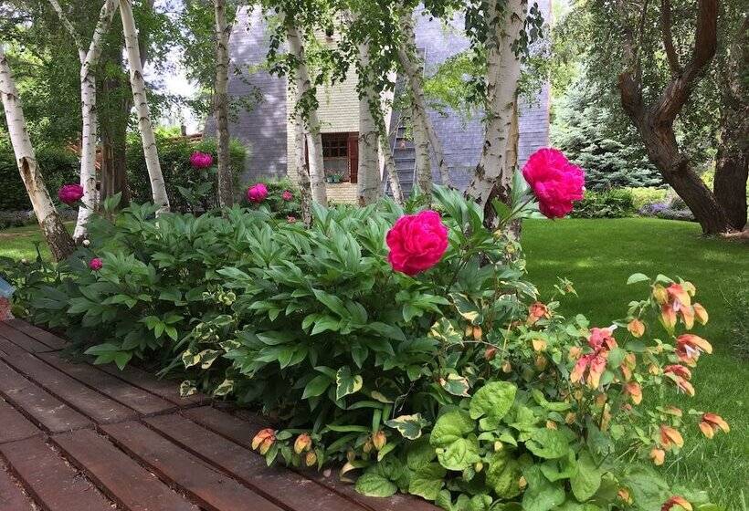Bed & Breakfast El Colibrí Cabañas De La Naturaleza