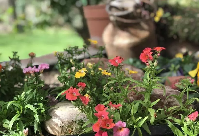 تختخواب و صبحانه El Colibrí Cabañas De La Naturaleza