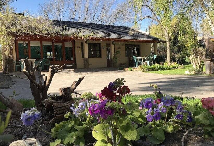 Bed & Breakfast El Colibrí Cabañas De La Naturaleza