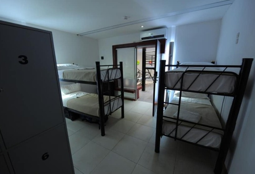 Hostel Unico