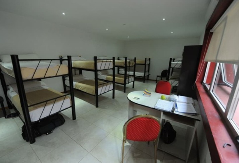 Hostel Unico