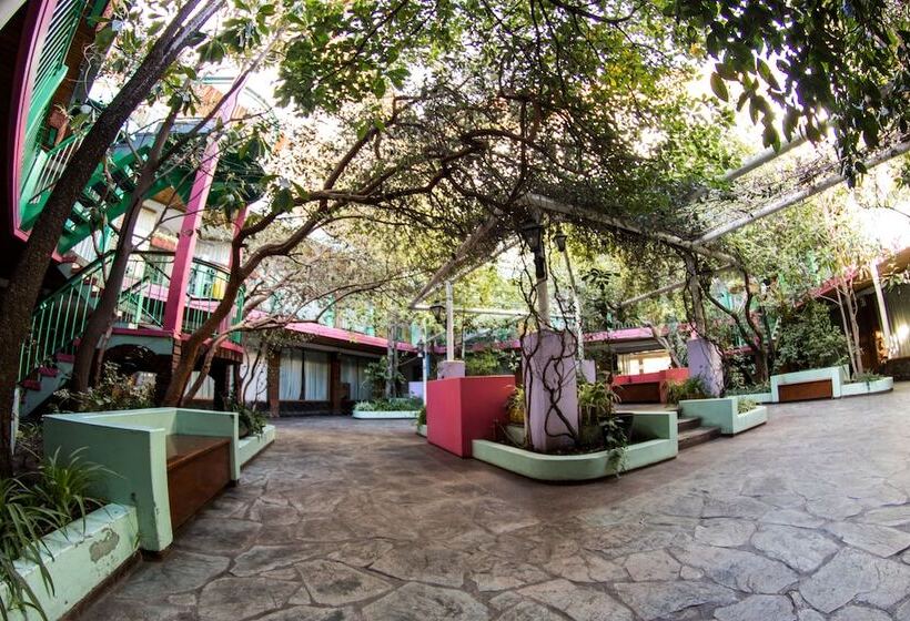 בית מלון כפרי El Prado