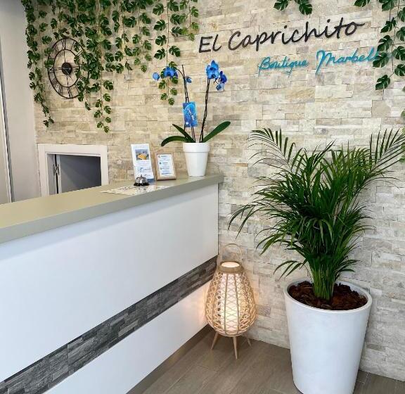 ホテル Hostal El Caprichito Marbella