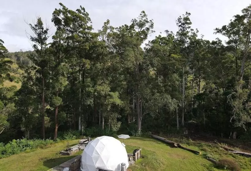 Hotelli Forest Domes