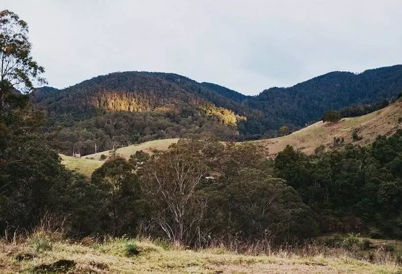 Hotelli Forest Domes