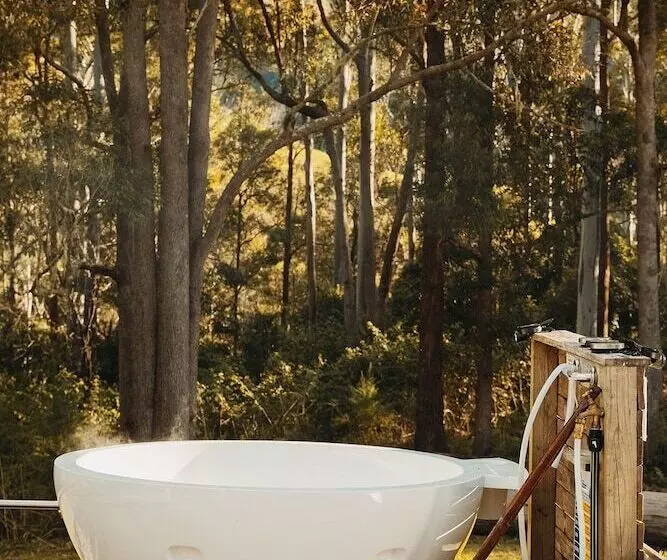 Hotelli Forest Domes