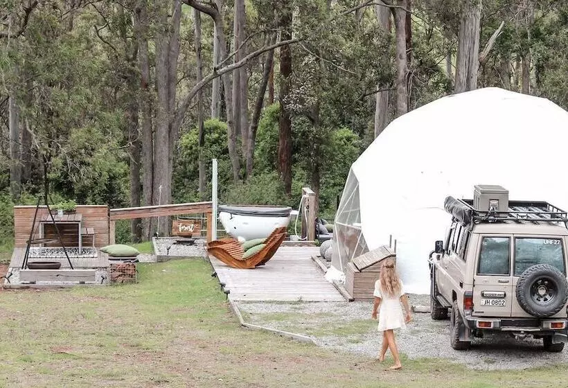 Hotelli Forest Domes