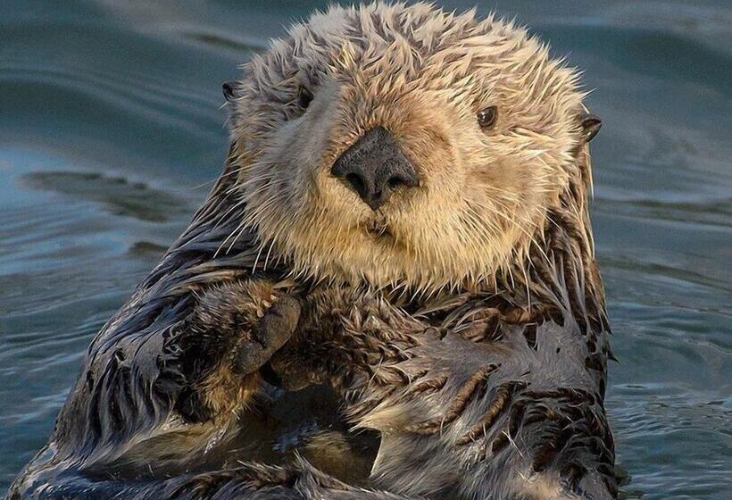 호텔 Harborwalk Inn