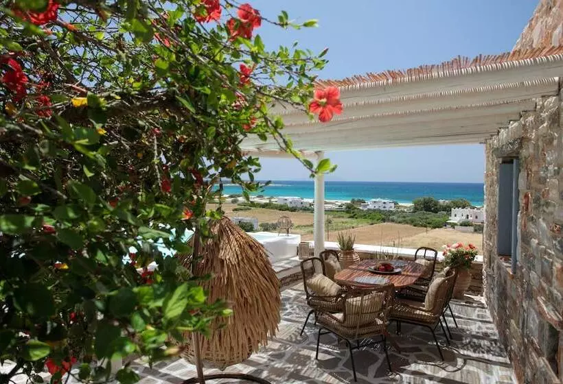 Phoenicia Naxos
