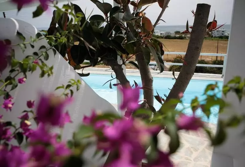 Phoenicia Naxos