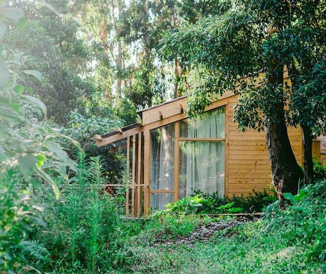 Отель Cabanas Da Viscondessa