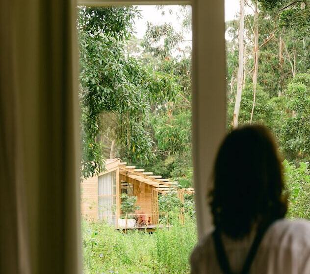 Отель Cabanas Da Viscondessa