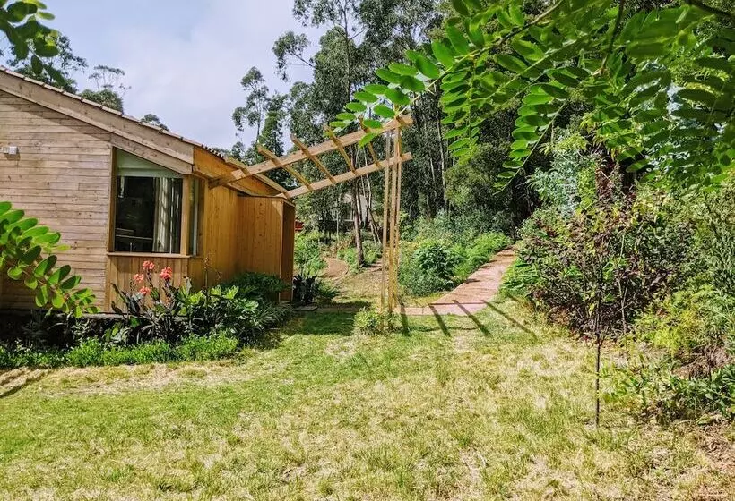 ホテル Cabanas Da Viscondessa