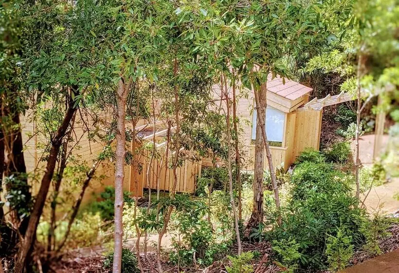 ホテル Cabanas Da Viscondessa