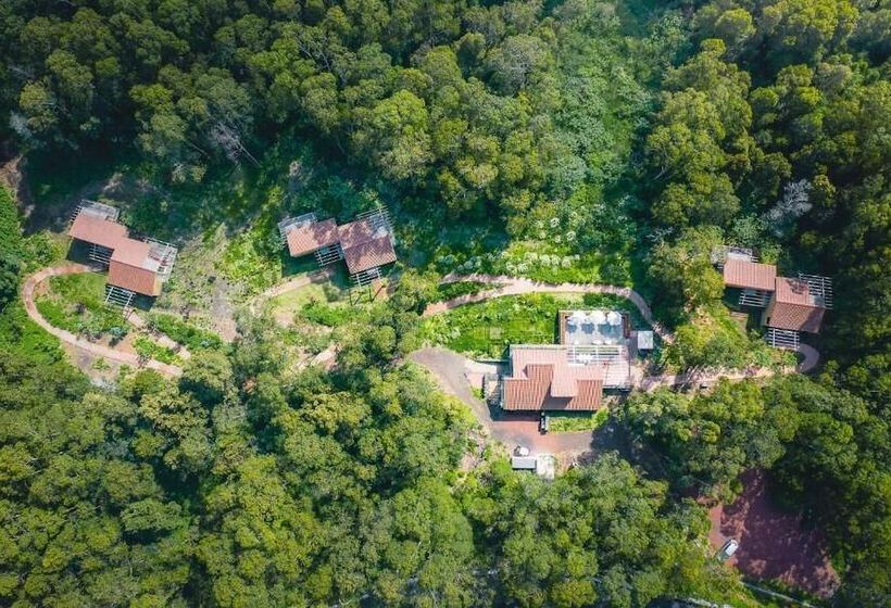 Отель Cabanas Da Viscondessa