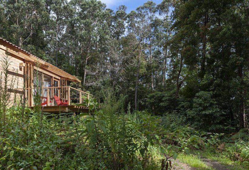 Отель Cabanas Da Viscondessa