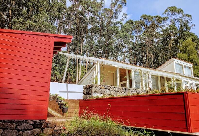 Отель Cabanas Da Viscondessa