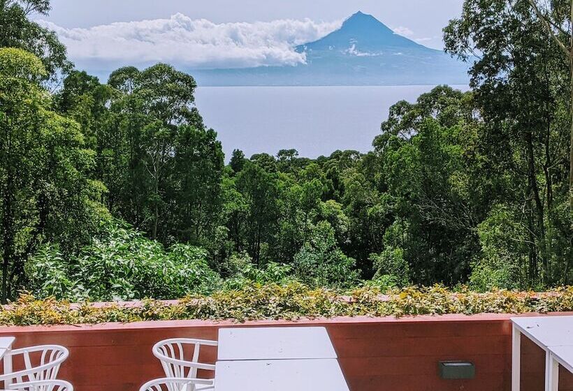 Отель Cabanas Da Viscondessa