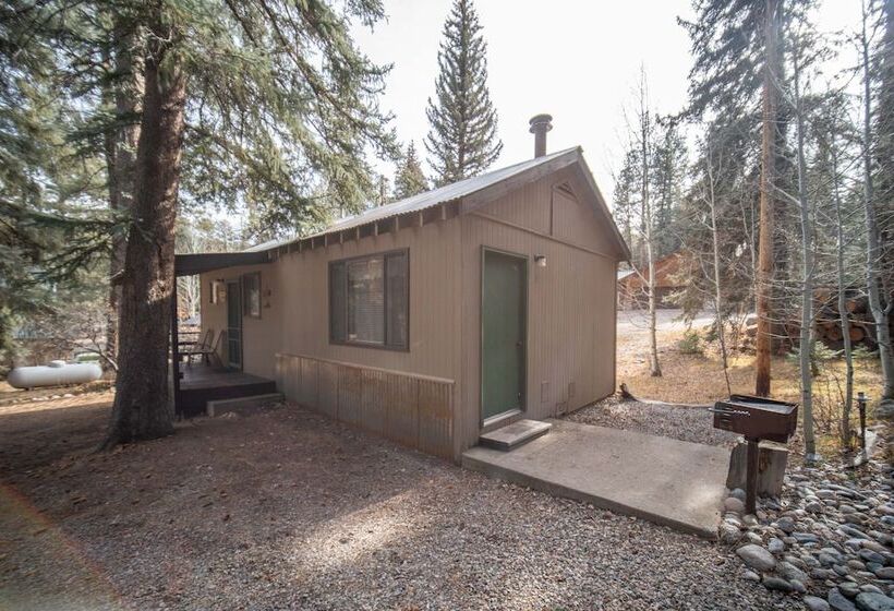 Bear Paw Lodge & Vacation Homes