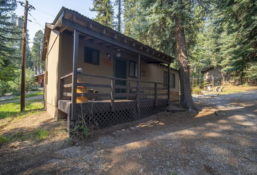 Bear Paw Lodge & Vacation Homes