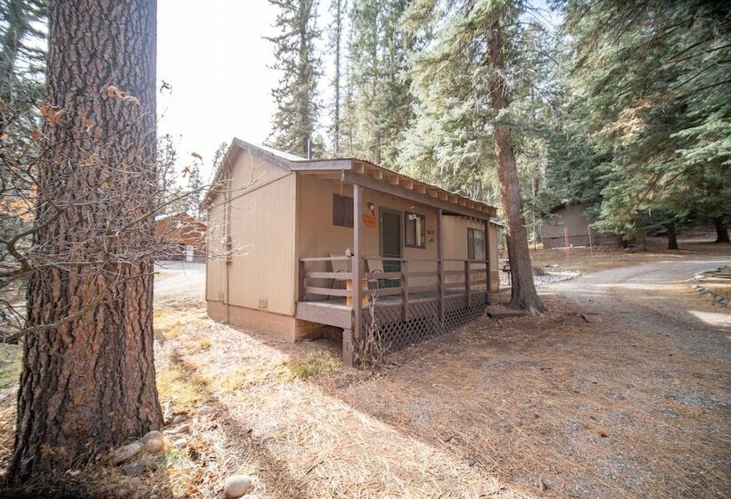 Bear Paw Lodge & Vacation Homes