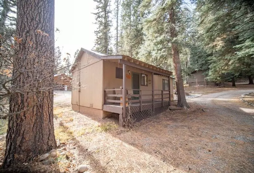 Bear Paw Lodge & Vacation Homes