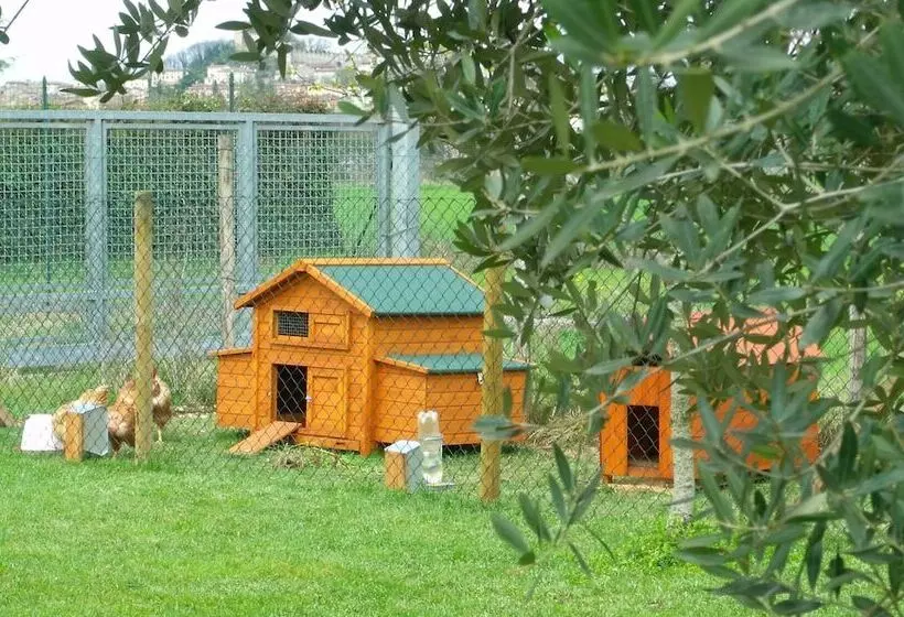 ホテル Agriturismo Al Tralcio