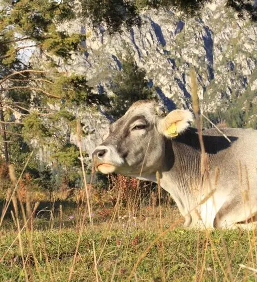ホテル Agriturismo Maso Santa Libera
