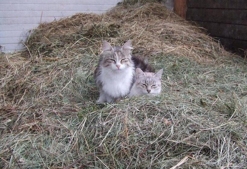 호텔 Agriturismo Maso Santa Libera