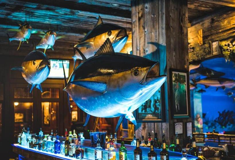 فندق Big Cypress Lodge