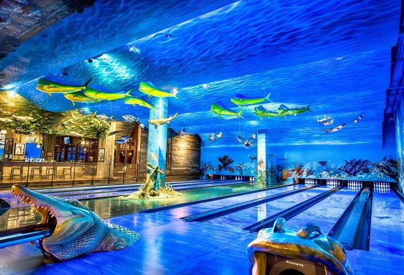 فندق Big Cypress Lodge