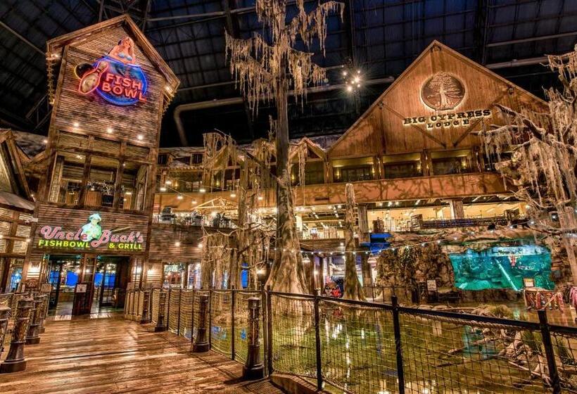 فندق Big Cypress Lodge