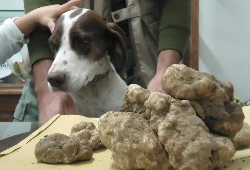 호텔 Country House Ca' Vernaccia