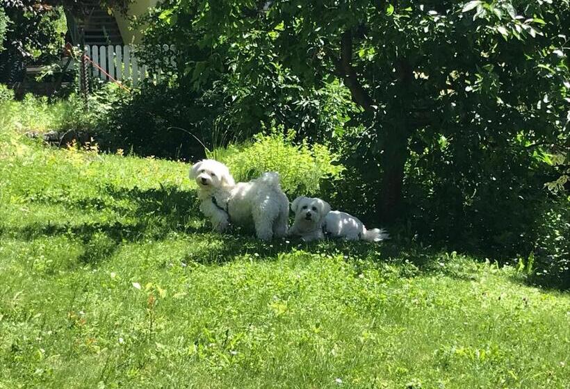 酒店 Feldmilla Design