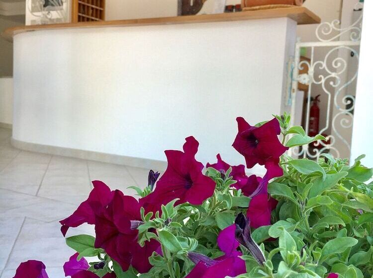 호텔 Il Nido Dei Gabbiani